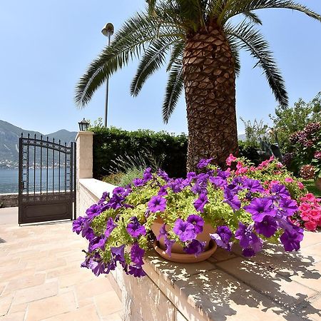 Maniva Penthouse By The Sea Apartment Kotor Luaran gambar