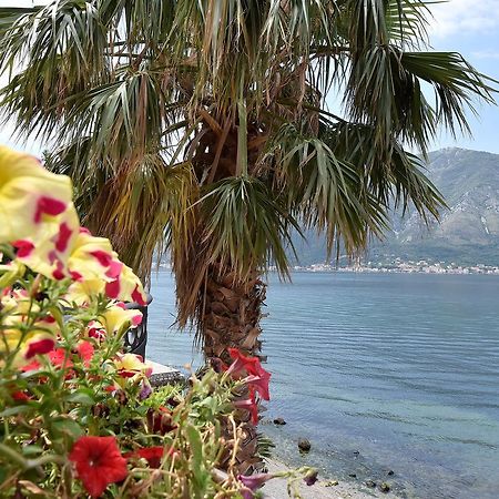 Maniva Penthouse By The Sea Apartment Kotor Luaran gambar